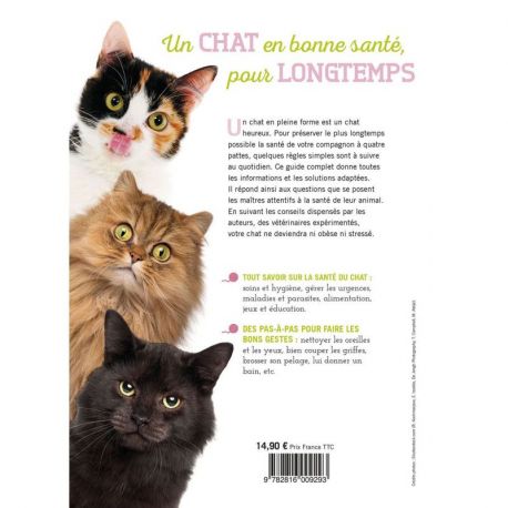 UN CHAT EN PLEINE FORME
