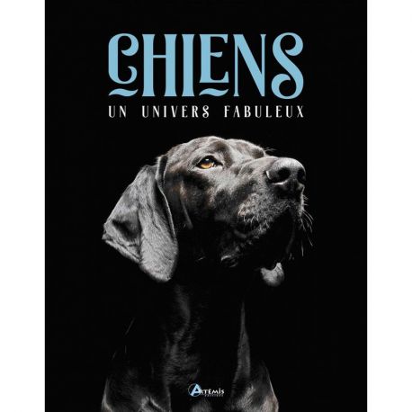 CHIENS - UN UNIVERS FABULEUX