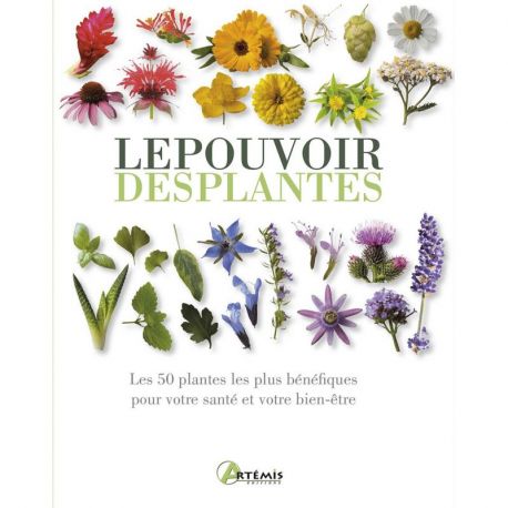LE POUVOIR DES PLANTES