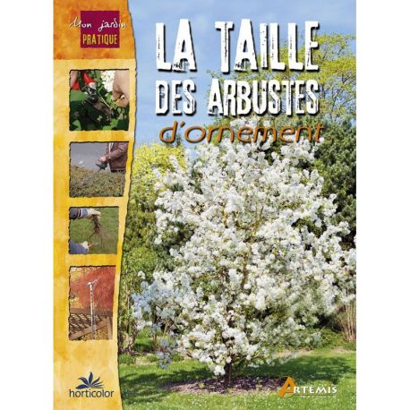 LA TAILLE DES ARBUSTES D ORNEMENT