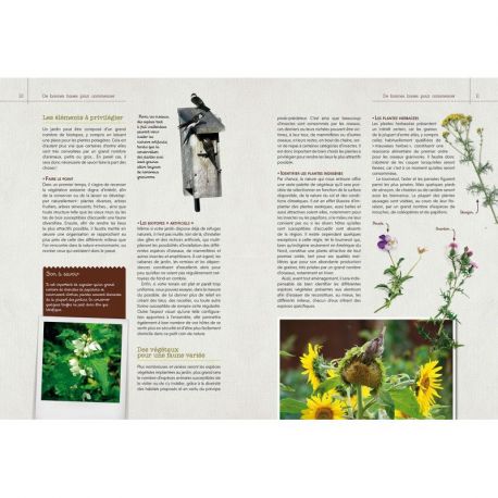 UN JARDIN POUR LES OISEAUX