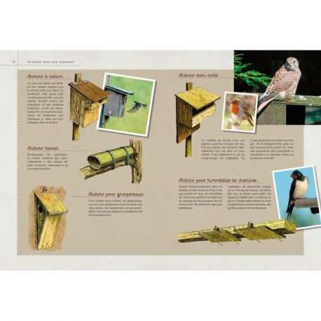UN JARDIN POUR LES OISEAUX