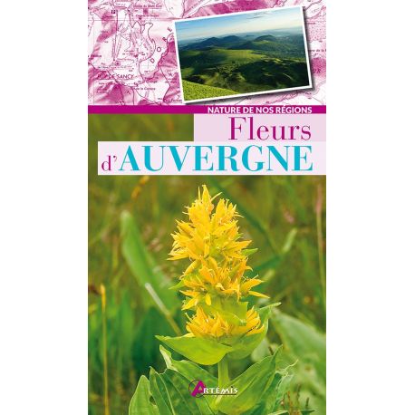 FLEURS D'AUVERGNE