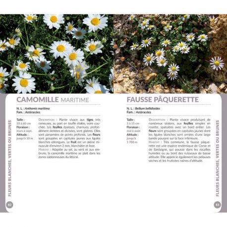 FLEURS DE BRETAGNE