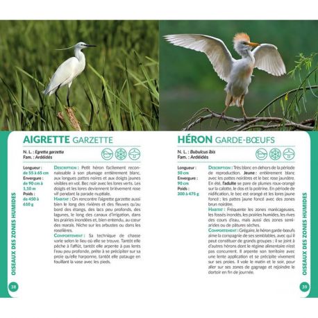 OISEAUX DE CORSE