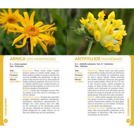 FLEURS DES PYRENEES
