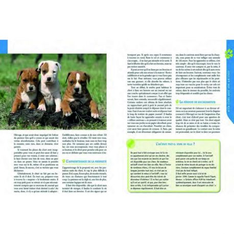 AMERICAN STAFFORDSHIRE TERRIER