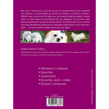 BICHON MALTAIS