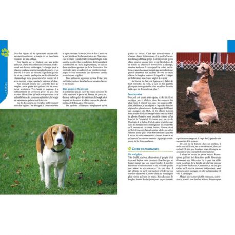 LE BEAGLE