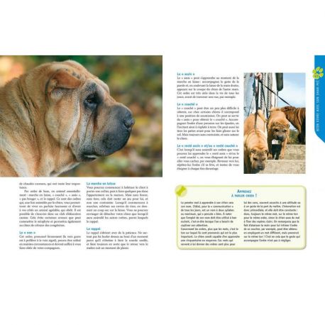 SHAR PEI