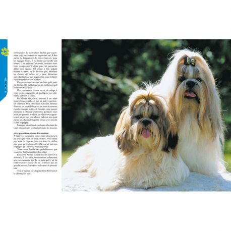 SHIH TZU