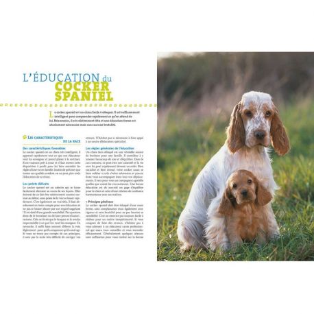 LE COCKER SPANIEL
