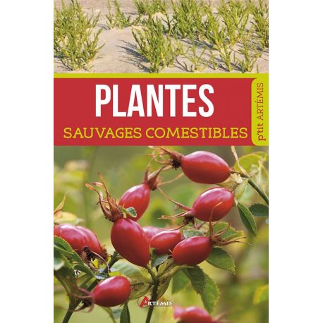 PLANTES SAUVAGES COMESTIBLES