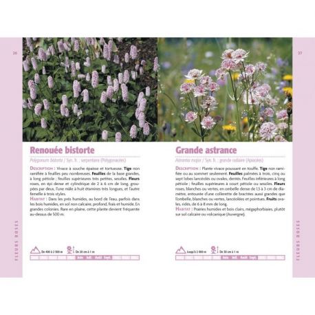 PLANTES DE MONTAGNE
