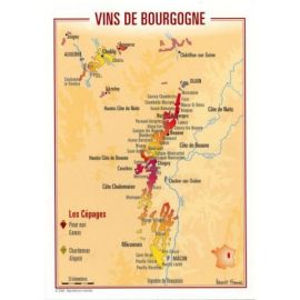 VINS DE BOURGOGNE CARTES POSTALES