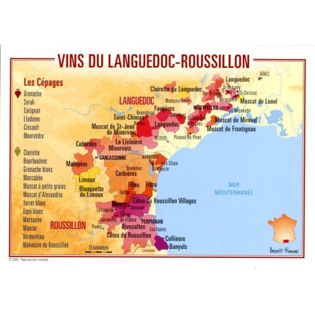 VINS DU LANGUEDOC-ROUSSILLON CARTES POSTALES