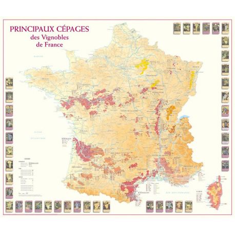 PRINCIPAUX CEPAGES VIGNOBLES DE FRANCE 77 CM X 66 CM