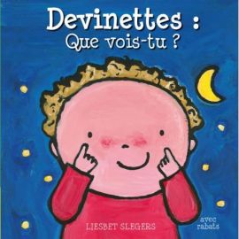 DEVINETTES : QUE VOIS TU ? LIVRE AVEC RABATS