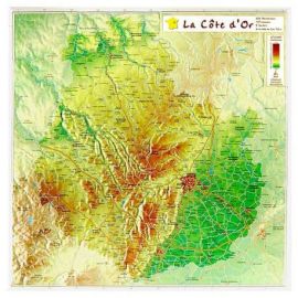 COTE D OR 32 X 31,6 CM