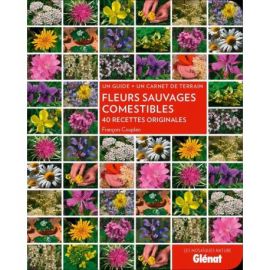 FLEURS SAUVAGES COMESTIBLES
