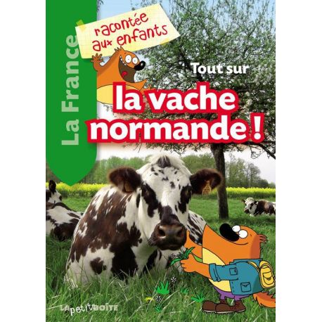 TOUT SUR LA VACHE NORMANDE !