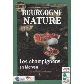 LES CHAMPIGNONS DU MORVAN BOURGOGNE NATURE