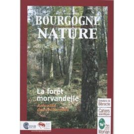 LA FORET MORVANDELLE BOURGOGNE NATURE