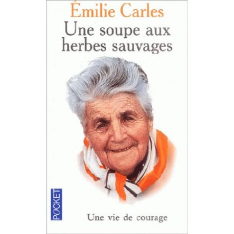 UNE SOUPE AUX HERBES SAUVAGES