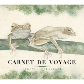 CARNET DE VOYAGE - NATFARA - B04 PETIT FORMAT - GRENOUILLE