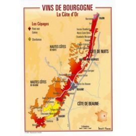 VIN BOURGOGNE - LA COTE D OR CARTES POSTALES