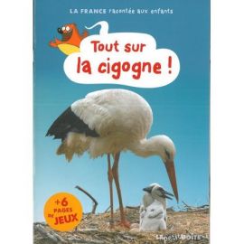 TOUT SUR LA CIGOGNE! L ALSACE