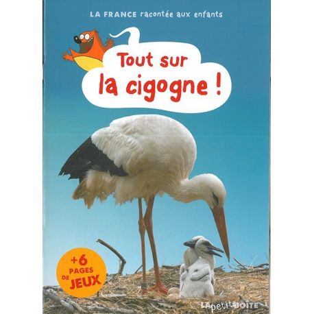 TOUT SUR LA CIGOGNE! L ALSACE