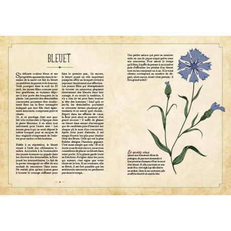 LE LANGUAGE SECRET DES PLANTES