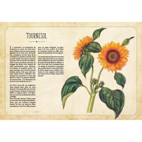 LE LANGUAGE SECRET DES PLANTES