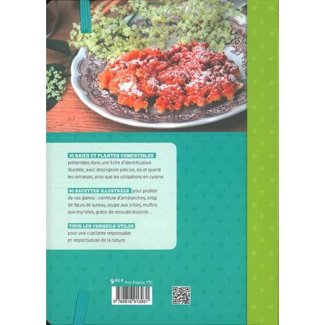 CUISINE DU GLANEUR 30 PLANTES * 80 RECETTES