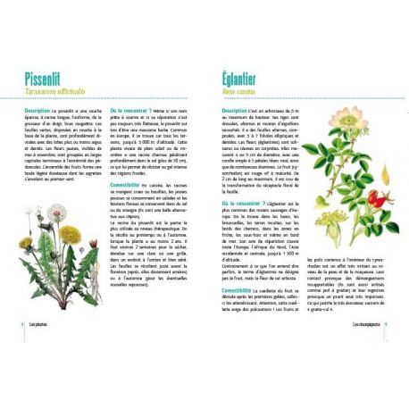 CUISINE DU GLANEUR 30 PLANTES * 80 RECETTES