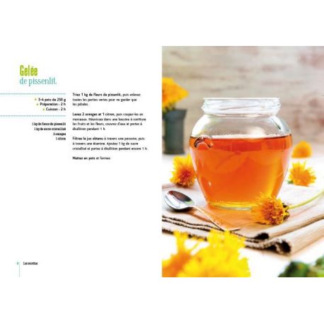 CUISINE DU GLANEUR 30 PLANTES * 80 RECETTES