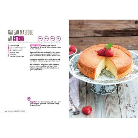 DESSERTS POUR SE REGALER 500 RECETTES FACILES