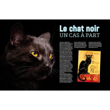 CHATS UN UNIVERS FABULEUX