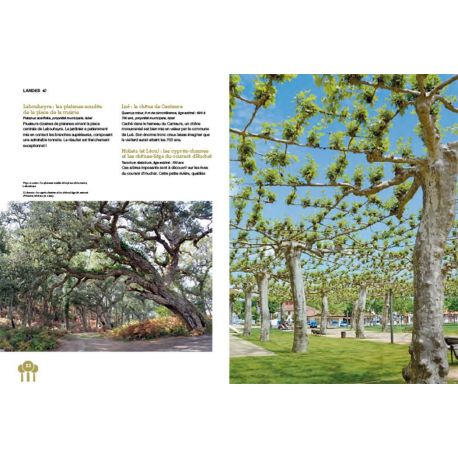 ARBRES D'EXCEPTION LES 500 PLUS BEAUX ARBRES DE FRANCE