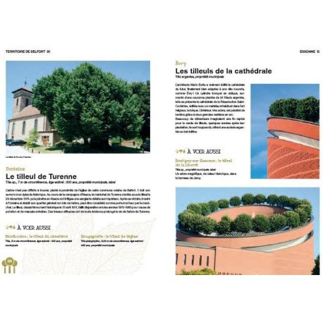 ARBRES D'EXCEPTION LES 500 PLUS BEAUX ARBRES DE FRANCE