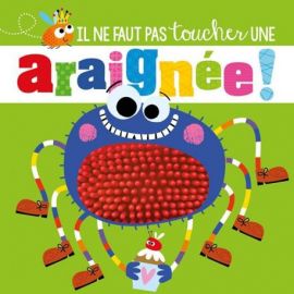 IL NE FAUT PAS TOUCHER UNE ARAIGNEE
