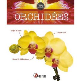 ORCHIDEES
