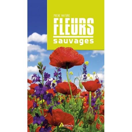 FLEURS SAUVAGES