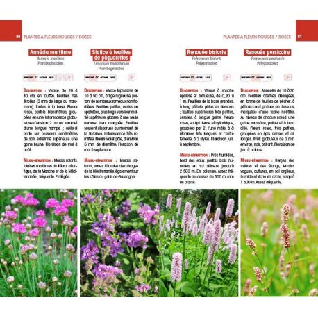 FLEURS SAUVAGES