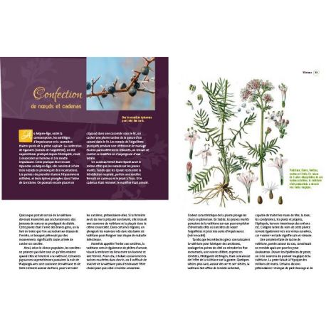 PLANTES BIENFAISANTES POUR LE CORPS & L'ESPRIT