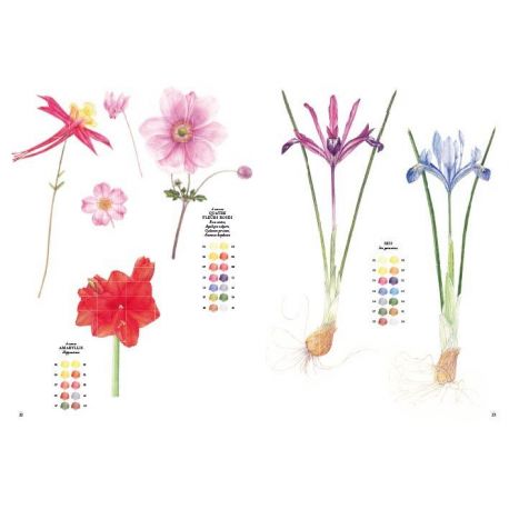 FLEURS A L'AQUARELLE 15 ESQUISSES PRETES A PEINDRE
