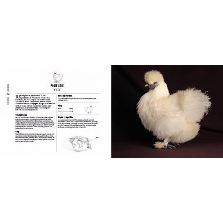 POULES PASSIONNEMENT