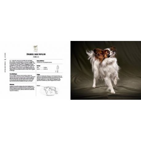 CHIENS PASSIONNEMENT