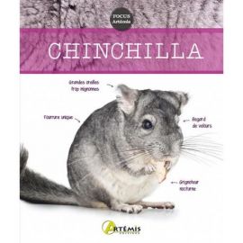 CHINCHILLA